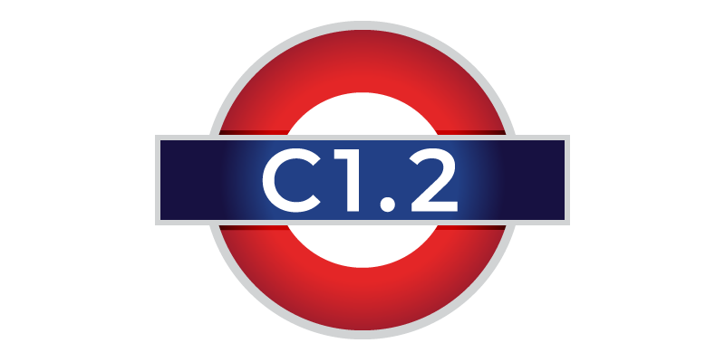 Corsi di inglese livello C1 CAE