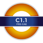 Corso C1.1 PRE - CAE