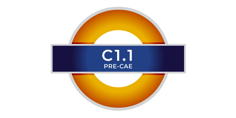 YL C1.1 Pre-CAE corsi di inglese